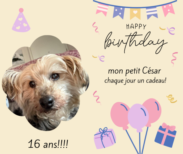 mon petit César