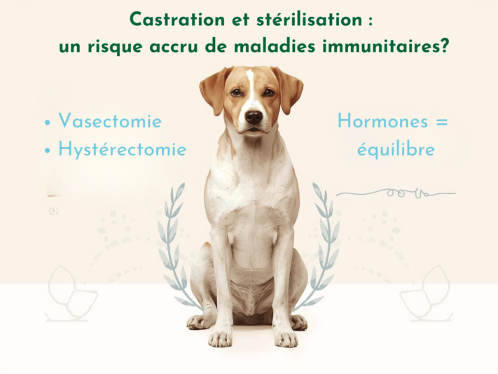 La reproduction peut être contrôlée sans retirer les gonades. (1)