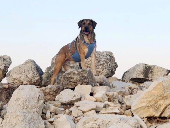 Almyros 2022-08-05-2