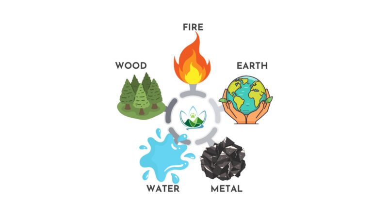 5 Elements