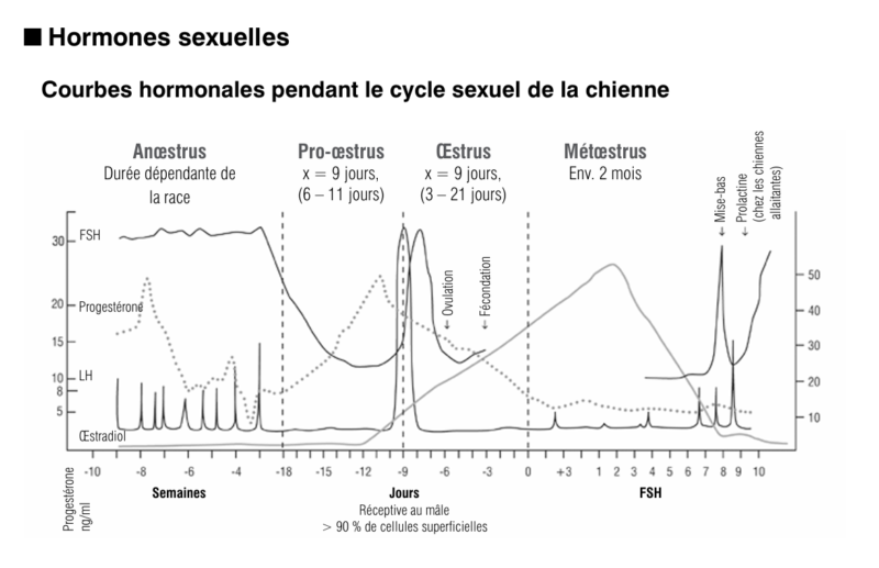 Capture d'écran 2026-01-22 164839