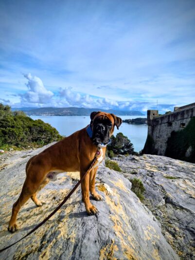 Ziggy vacances IT 08.02.26