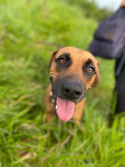 480717066_3806561896262793_163106289584121135_n