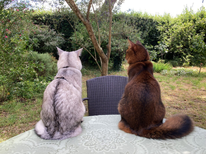 Face au jardin_IMG_6948