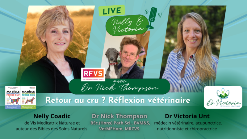 Nick Thompson 25.03.26(1)