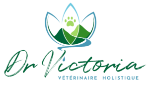 Dr Victoria – vétérinaire holistique