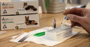 Tests d’anticorps : la révolution qui évite les vaccins inutiles chez chiots et chiens adultes