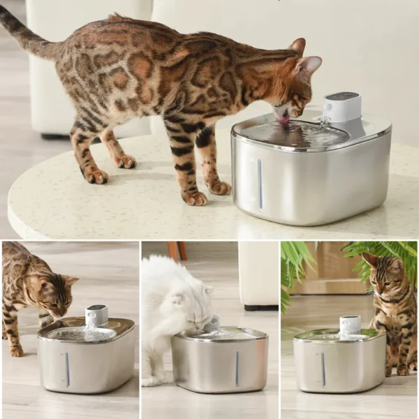 Fontaine sans fil KittySpout™ Wireless - rabais 15% – Image 2