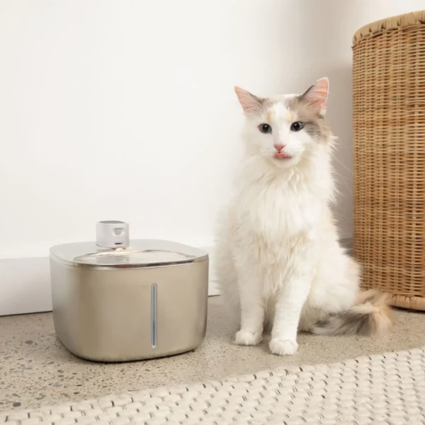 Fontaine sans fil KittySpout™ Wireless - rabais 15% – Image 3