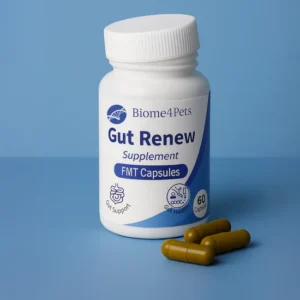 Gut Renew FMT Capsules – Rééquilibrage naturel du microbiome intestinal