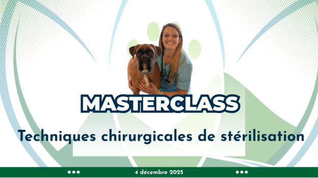 MASTERCLASS – Techniques chirurgicales de stérilisation chez le chien et chat