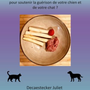 La nutrition comme thérapie